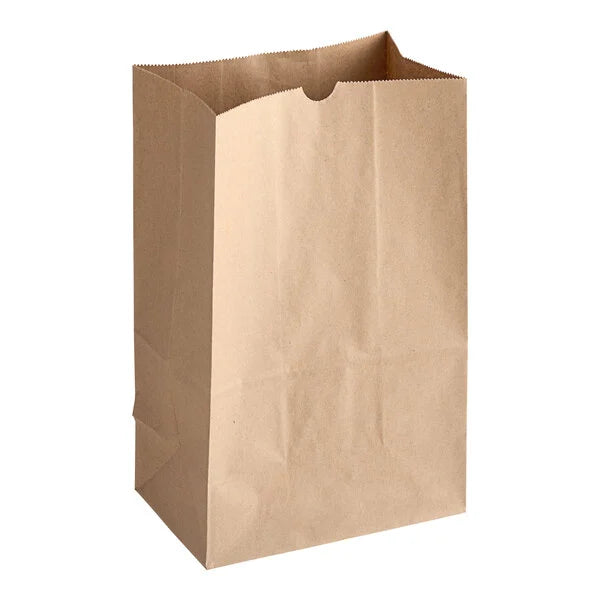 1/6 Duro Heavy Duty Paper grocery bag 500/Case